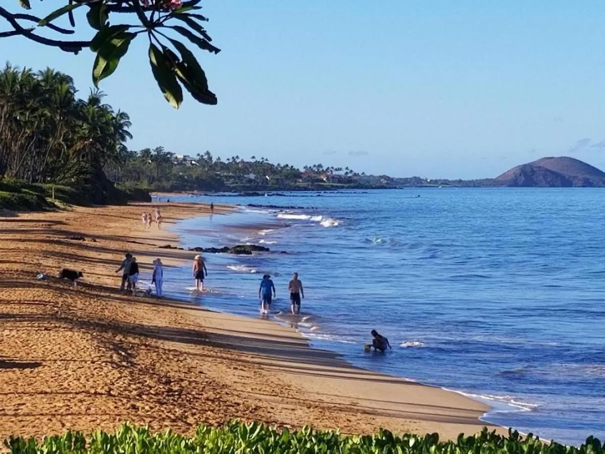 Hale Kamaole 127 Villa Wailea  United States